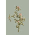thumbnail image 3 of Murdock, Ramona 13x18 Black Modern Framed Museum Art Print Titled - Wild Clover, 3 of 5