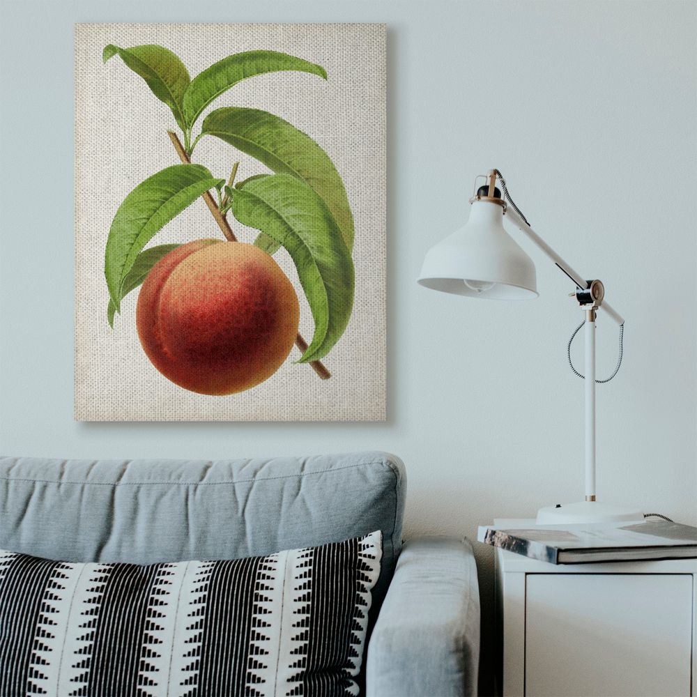 Stupell Industries Vintage Fruit Peach Painting Super Canvas Wall Art by Vision Studio