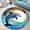 Dolphin, variant on Round Area Rug, Dragonfly4 Non-Slip Floor Mat, Soft Washable Carpet for Living Room Bedroom Decor 39 Inch