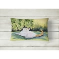thumbnail image 2 of Carolines Treasures SS8273PW1216 Cat Decorative   Canvas Fabric Pillow 12H x16W multicolor, 2 of 3