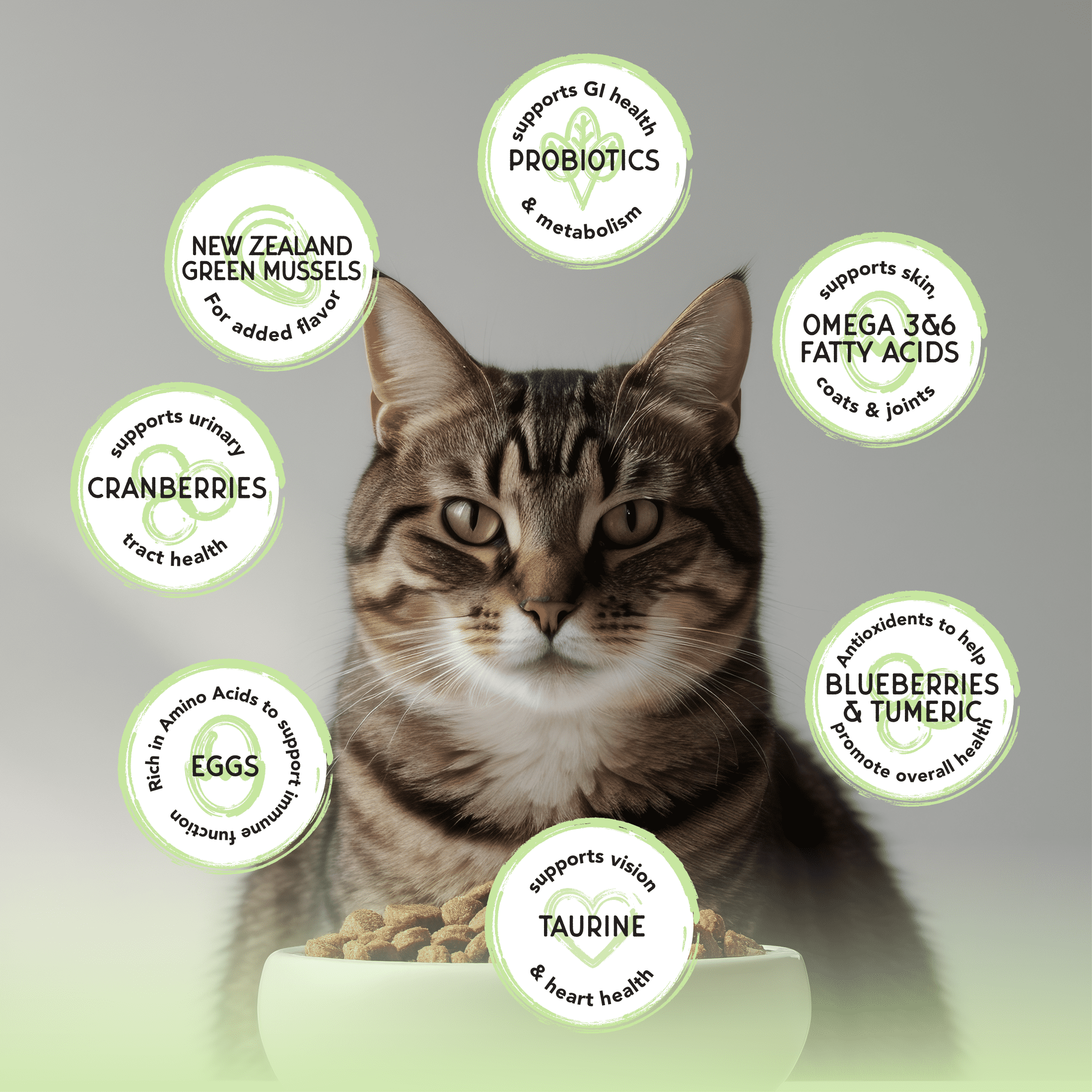 Blackwood Bounty Grain-Free Whitefish & Lentil Recipe All Life Stages Dry Cat Food 10 lb. Bag