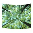thumbnail image 2 of JANDEL Forest Starry Tapestry Starry Sky Tapestry Moon and Stars Tapestry Galaxy Tapestry Wall Hanging Forest Tapestry Night Sky Tapestry Wall Tapestry for Dorm Living Room Bedroom, 2 of 3