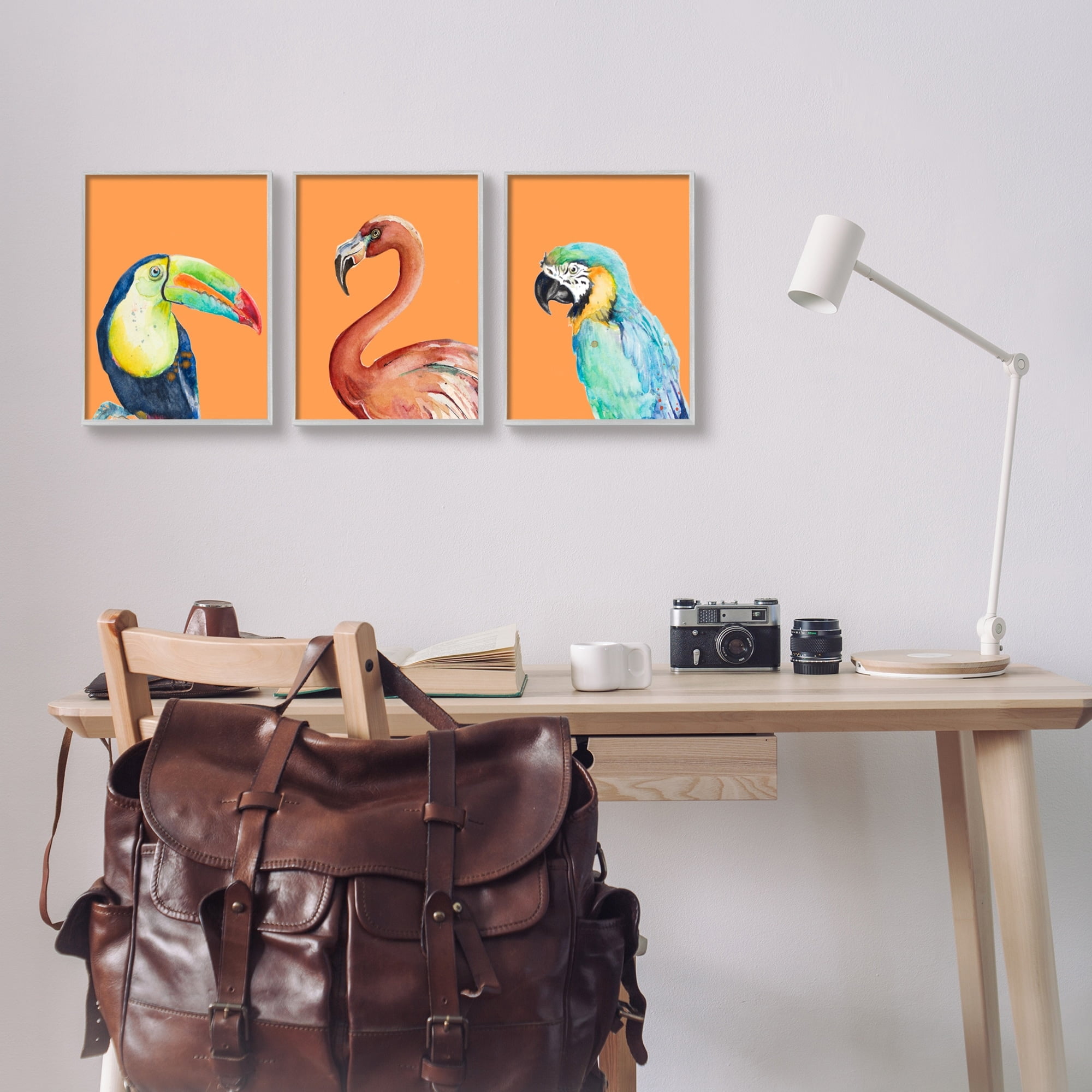 Stupell Industries Bold Tropical Birds Rainforest Animals Toucan Parrot Graphic Art Gray Framed Art Print Wall Art, Set of 3, Design by Patricia Pinto