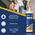 thumbnail image 4 of LubriSyn HA Plus with MSM for Equine  Pet 32 oz, 4 of 10