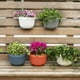 thumbnail image 3 of Imitación de ratán para colgar en la pared, maceta para plantas, cesta de valla de resina semicircular para balcón, jardín, interior kenally HA7501-10B, 3 of 6