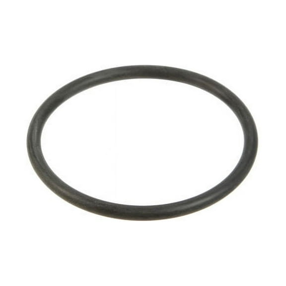 Water Pump O-Ring - Compatible with 1991 - 1995, 2001 - 2005 BMW 525i 1992 1993 1994 2002 2003 2004