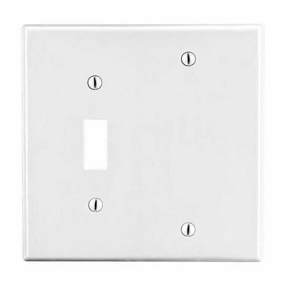 Hubbell Wiring Device-Kellems TglSwch/BlankWllPlt,Std;Wht,2Gng,SmthStn P113W