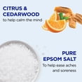 thumbnail image 2 of Dr Teal's Fresh Spring Rain Epsom Salt Magnesium Soak with Essential Oils, 3 lbs, 2 of 9