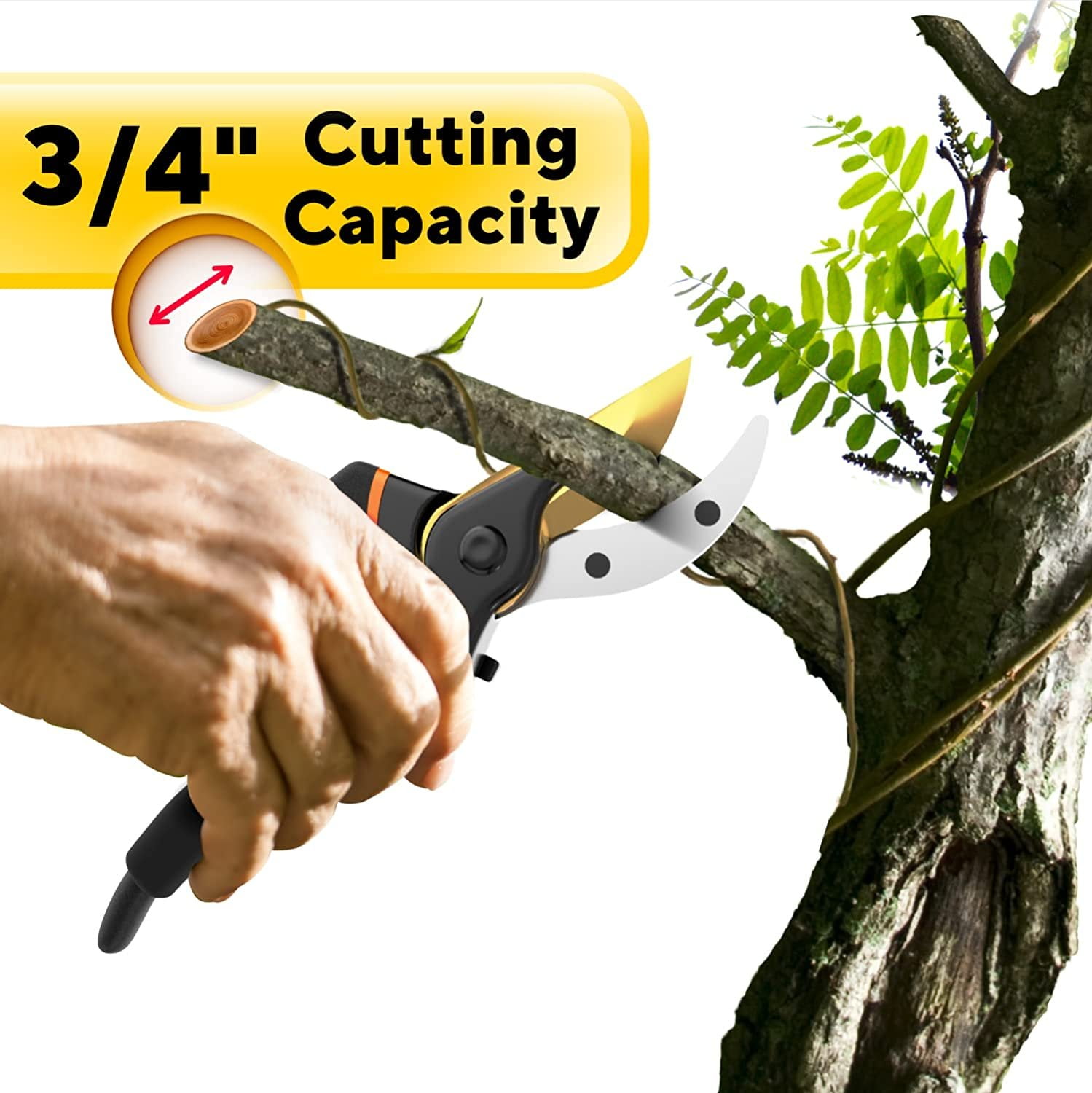 Premium Bypass Pruning Shears for your Garden - Heavy-Duty, Ultra Sharp Pruners Made with Japanese Grade Stainless Steel - Perfectly Cutting Through Anything in Your Yard - Includes Lifetime Warranty