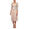 Alex Evenings Womens Sequin Lace Mock Dress (Petite and Regular), Champagne/Ivory, 10