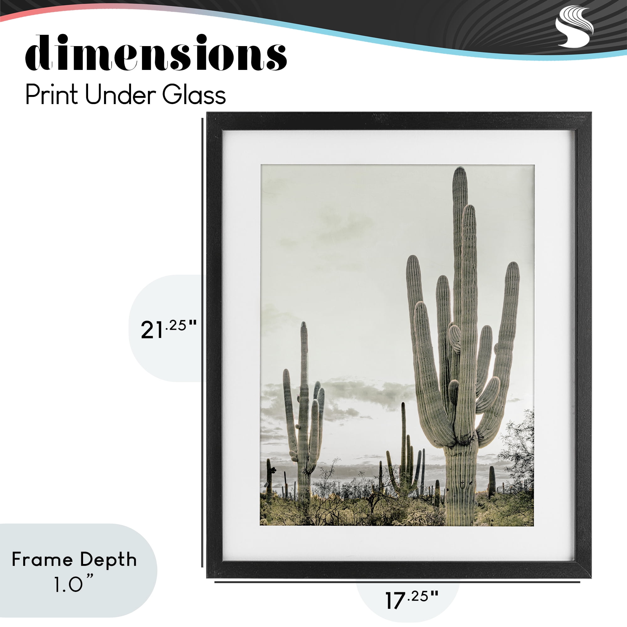 Stupell Industries Subdued Desert Cacti Black Framed Print Under Glass, design by Kim Allen