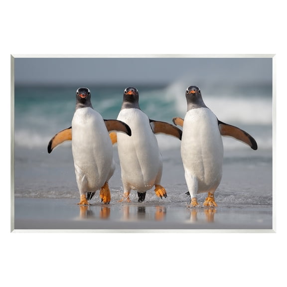 Stupell Industries Penguin Trio on Beach Animals & Insects Photography Unframed Art Print Wall Art, 15 x 10