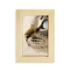 thumbnail image 1 of Animal ojo azul gatito gris - Foto Escritorio de madera Arte Pintura 5x7 pulgadas marco de foto foto, 1 of 4