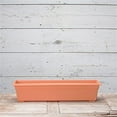 thumbnail image 4 of Root & Vessel Countryside Flower Box, Terra, 30", 4 of 6