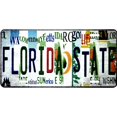 thumbnail image 1 of Florida State Strip Art Metal License Plate, 1 of 1