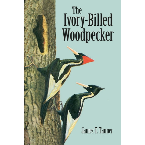 Pre-Owned The Ivory-Billed Woodpecker (Paperback) 0486428370 9780486428376