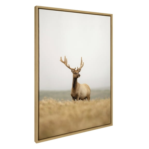 Kate and Laurel Sylvie Tule Elk No 6 Framed Canvas Wall Art by Crystal Lynn Collins, 28x38 Natural, Rustic Animal Wall Decor Art