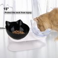 thumbnail image 1 of Bol pour Animaux de Compagnie Antidérapant Incliné à 15° Récipient d'Eau Potable avec Support Surélevé Protection de la Colonne Vertébrale Alimentation Ménager Petits Animaux 2 Bols Type 6, 1 of 8