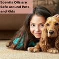 thumbnail image 2 of Autumn Spice Essential Oil Blend 120 ml | Fall Scent with Pumpkin Spice & Apple|Diffuser Fragrance, 2 of 5