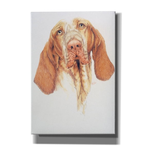 Epic Graffiti 'Bracco Italiano' by Barbara Keith, Canvas Wall Art, 18"x26"