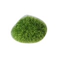 thumbnail image 1 of Micro Landscape Ornaments Artificial Moss Natural Texture Stable Non-Slip Base Moss for Miniature Garden Decoration, 1 of 8