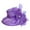Purple, variant on Clearance! Hontri 1Pc Hat Clearance under $5, Women Fascinator Lady Cocktail Tea Party Church Wedding Bridal Flower Hat On Sale