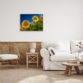 thumbnail image 3 of Stupell Industries Gorgeous Sunflower Field Summery Blue Clouds Sky Photograph Gray Framed Art Print Wall Art, Design by Steve Smith, 3 of 5