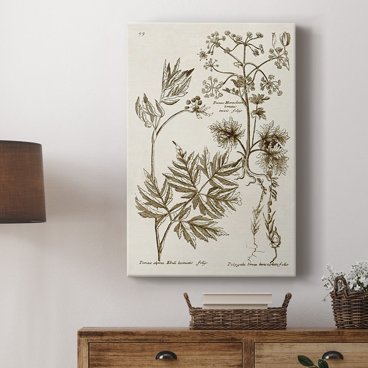 Sepia Botanical Journal III Premium Gallery Wrapped Canvas - Ready to Hang