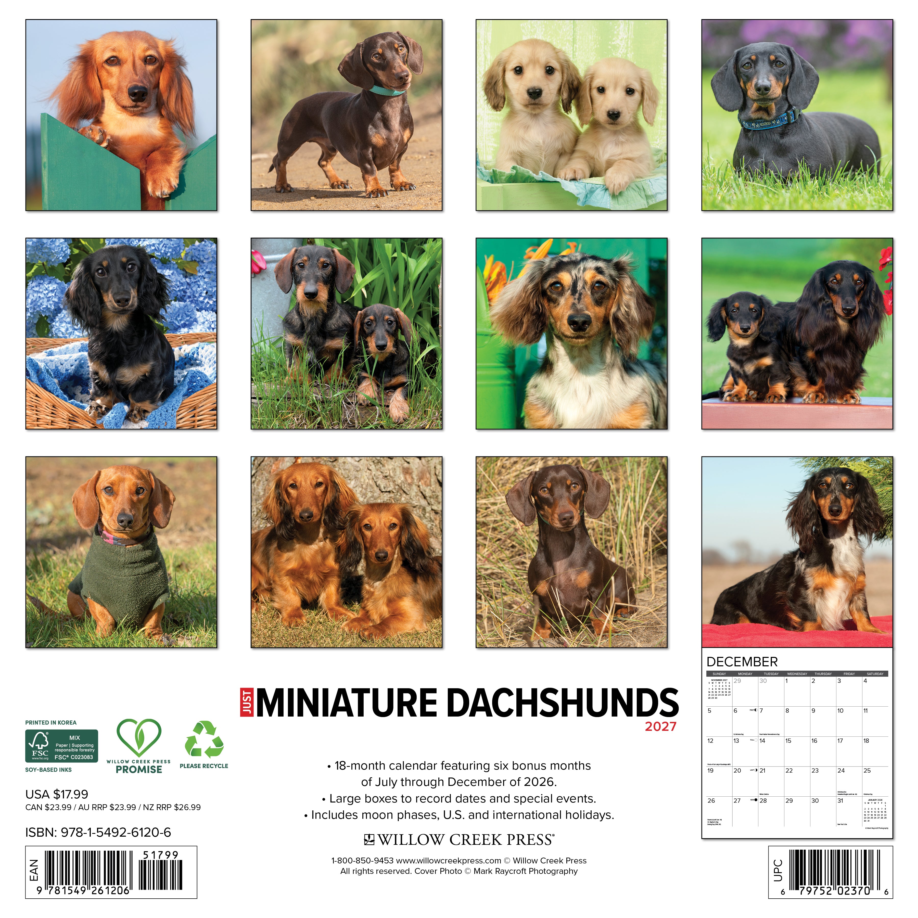 Willow Creek Press, Miniature Dachshunds 2027 Wall Calendar