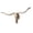 A 77.5x32x12cm, variant on Long Horned Decor Skull Halloween Decoration Wall Decor Skull Decor Skull Figurines Crafts Head For Holiday Bedroom .5x32x12cm