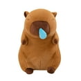 thumbnail image 2 of Fiudx Ofertas Flash Del Día Snatchy Water Dolphin Capibala Peluche Sentado Muñeca Fea Y Linda, 2 of 7