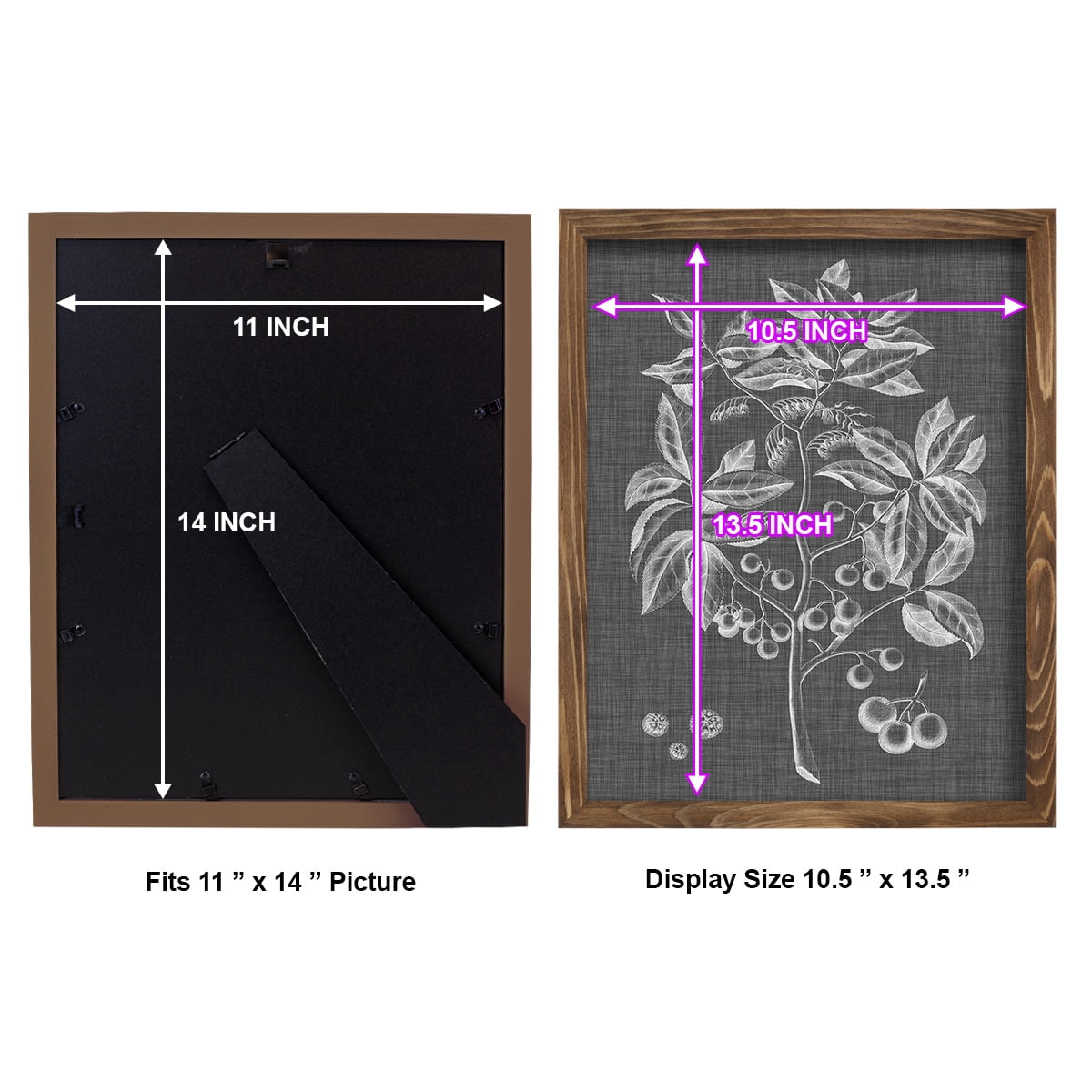 Graphic Foliage VI - Framed Print w/glass - Walnut