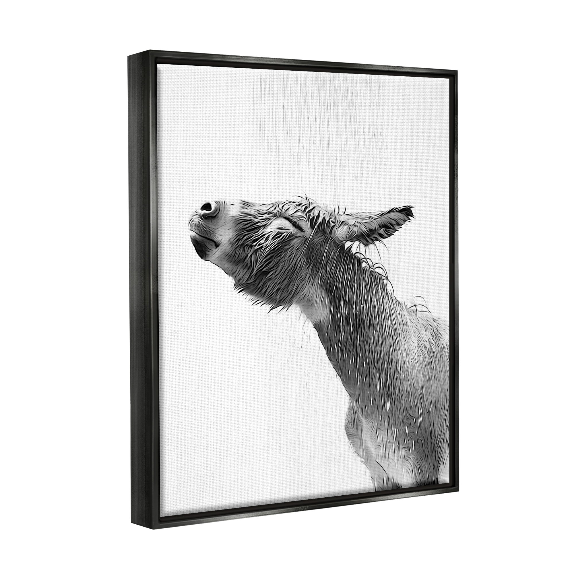 Stupell Industries Donkey Bathroom Splash Animals & Insects Painting Black Floater Framed Canvas Art Print Wall Art, 17 x 21
