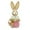 C, variant on 14-Inch Garden Easter Bunny Stake, Realistic Rush Covered Rabbit on Metal Stick, Charming Outdoor Decor for Flower Beds & Walkway H