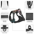 thumbnail image 3 of Naloa Island Vacation Guinea Pig Pet Harness Vest with Traction Rope, Adjustable No-Choke Dog Vest for Outdoor, Walking - Large, 3 of 5