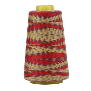 Threadart Variegated Polyester Embroidery Thread - 40wt - 1000m - 25 ...