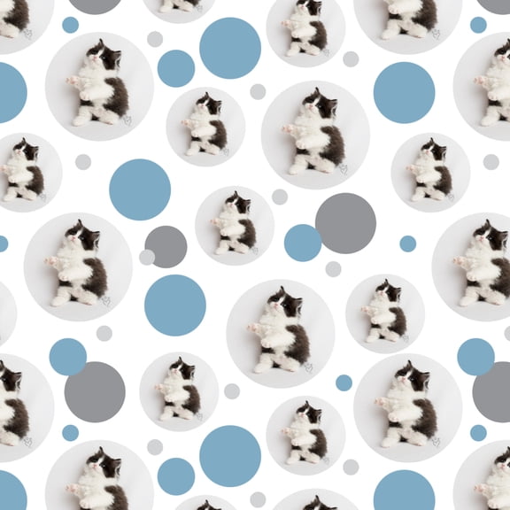 Persian Kitten Cat Black White Premium Gift Wrap Wrapping Paper Roll