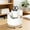 White, variant on Votnto 360° Rotating Desk Caddy Organizer, Multi-Compartment Plastic Pen Holder for Stationery Makeup Brushes Small Office Supplies