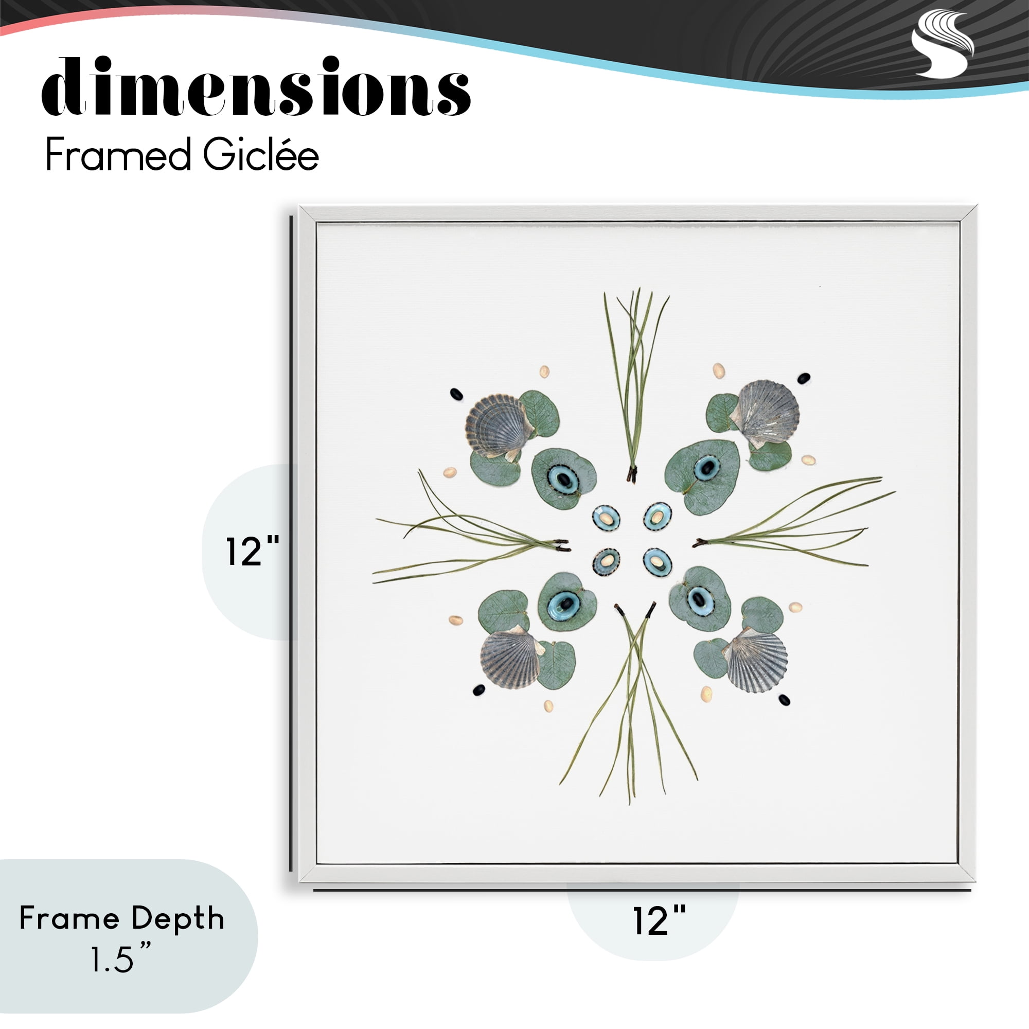 Stupell Industries Seashell & Leaf Symmetry White Framed Giclee Art, design by Beth Adoette