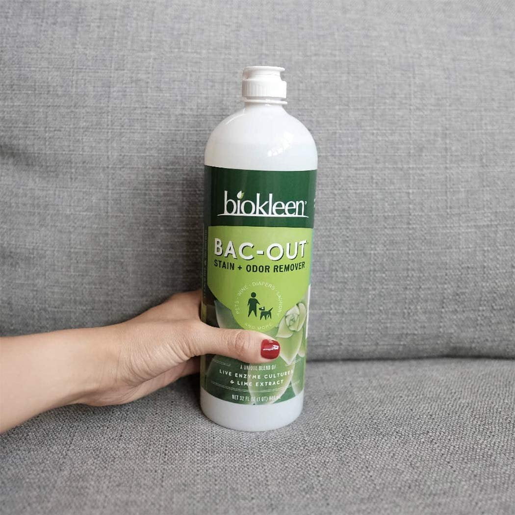 12-pack Biokleen Bac-Out Stain+Odor Remover - Enzymatic Pet Odor Remover - 12 Pack, 32 fl oz — Residential Use, Standard Application