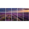 thumbnail image 2 of Dark Lavender Field with Cloudy Sky - Floral Canvas Art Print, 2 of 3
