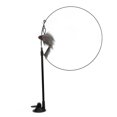 thumbnail image 1 of Cat Feather Wand, Steel Wire Interactive Bendable Funny Cat Feather  For Cats Gray, 1 of 8