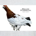 thumbnail image 3 of CafePress - Willow Ptarmigan Light T Shirt - Men's Classic Graphic T-Shirt, 3 of 4