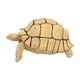 thumbnail image 1 of Figura de tortuga, juguete de tortuga, juguete educativo simulado, juego de tortuga pequeña Beige, 1 of 9