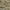 Taupe, variant on Addison Rugs Chantille Indoor/Outdoor Transitional Swirls Beige Washable Rectangle Rug, 10' x 14'