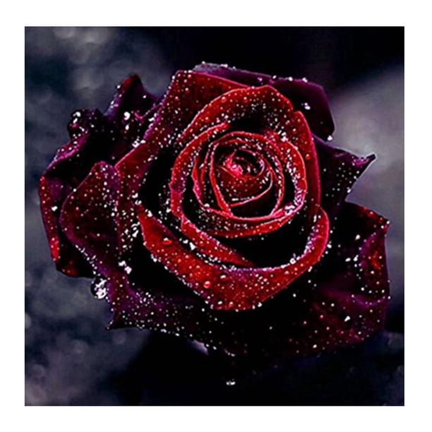 Rosa 5D diamante pintura Rhinestone bordado DIY costura regalo (rojo oscuro FLhrweasw Nuevo
