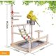 thumbnail image 2 of Parque infantil, pájaro de juguete, loro, parque infantil, jaula para loros, accesorios con taza de alimentación, escalera, columpio para loros, soporte de juego, 2 of 5