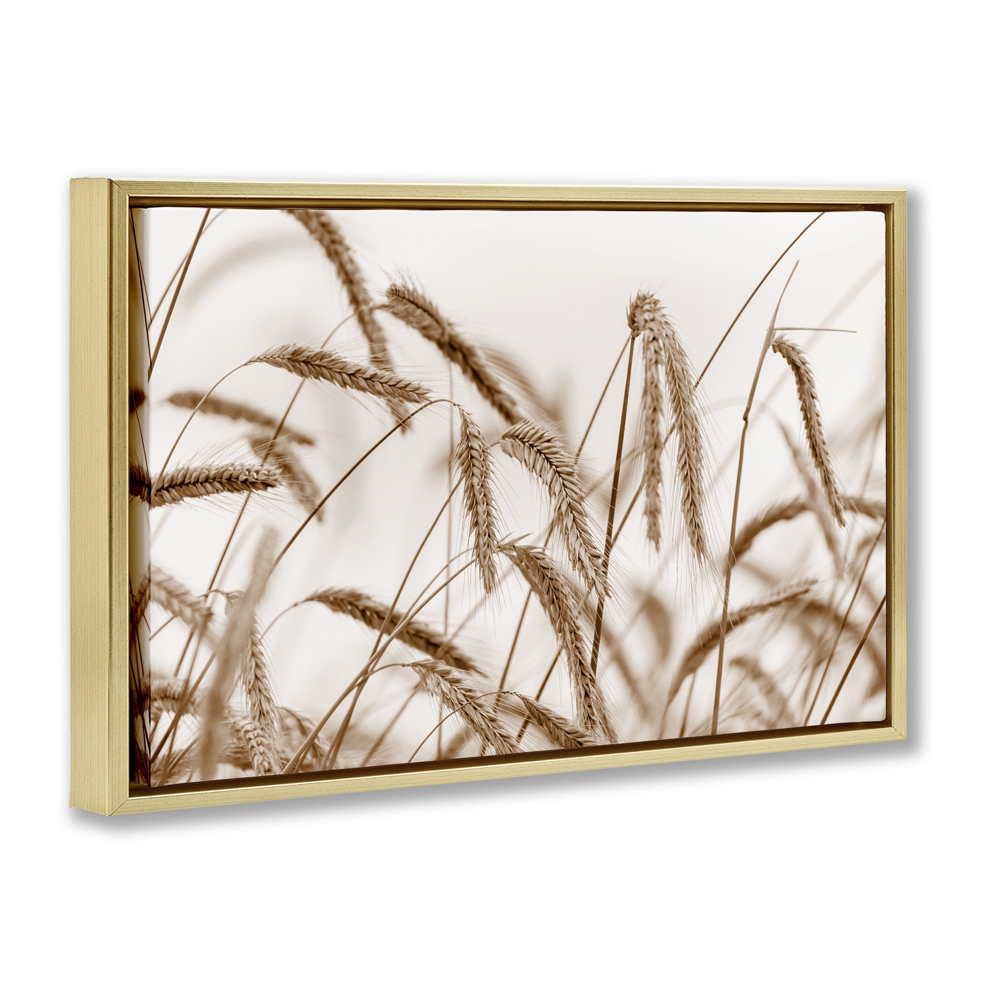 Stupell Industries Windswept Wheat Sprigs Plants & Flowers Photography Gold Floater Framed Canvas Art Print Wall Art, 25 x 17
