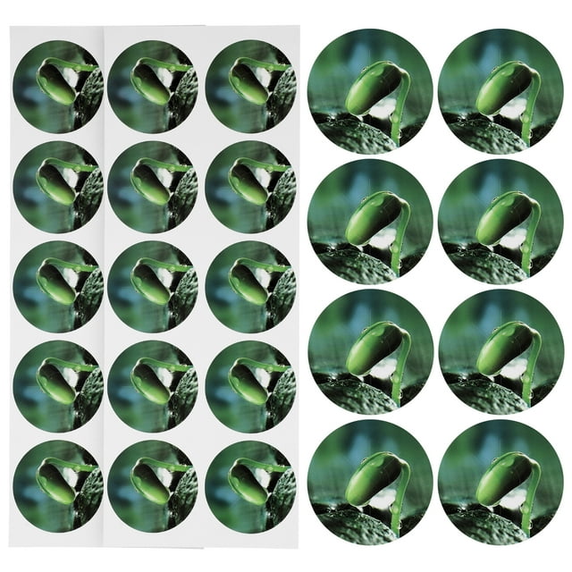 10StickersPerSheet 5 Feuilles Rondes Autocollants de Pot de Graines en PVC Vert pour Étiquettes d'Assaisonnement Courantes