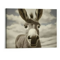 BCIIG Canvas Prints Wall Art For Home and Office Wall Decoration Black And White Donkey Canvas Artwork Print Painting Picture Animal Modern Abstract Unframe Wall Art for Bedroom 20 x 16 Inch